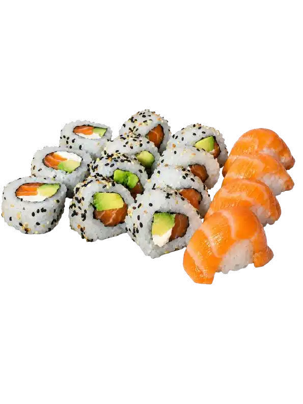SALMON X 15