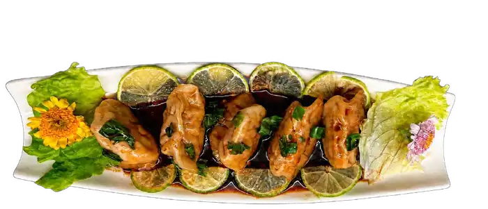 GYOZAS