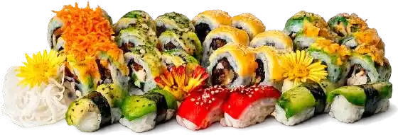 COMBO VEGGIE X30