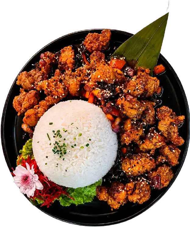 POLLO AL TERIYAKI
